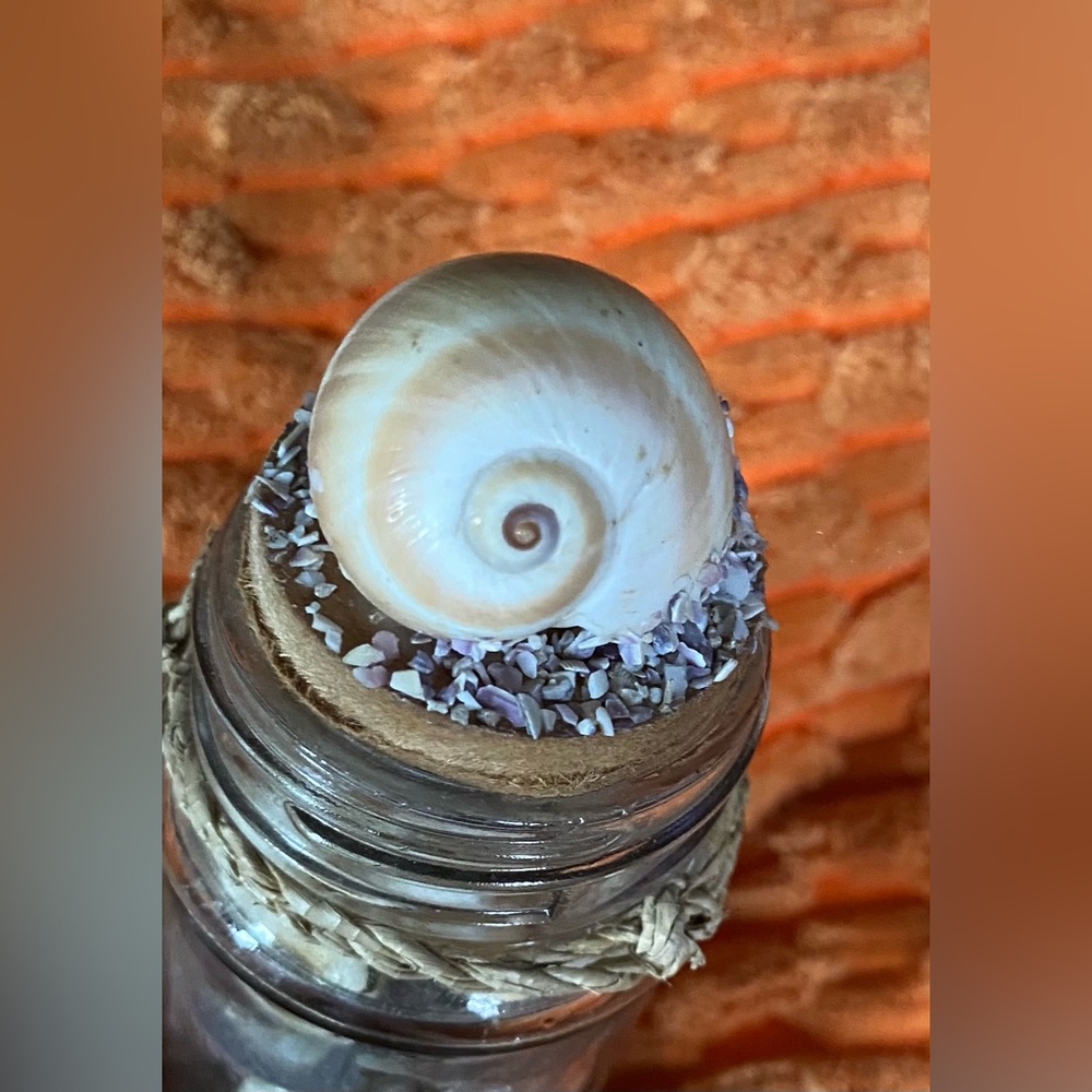 Sea shell decor - Picture 3 of 4
